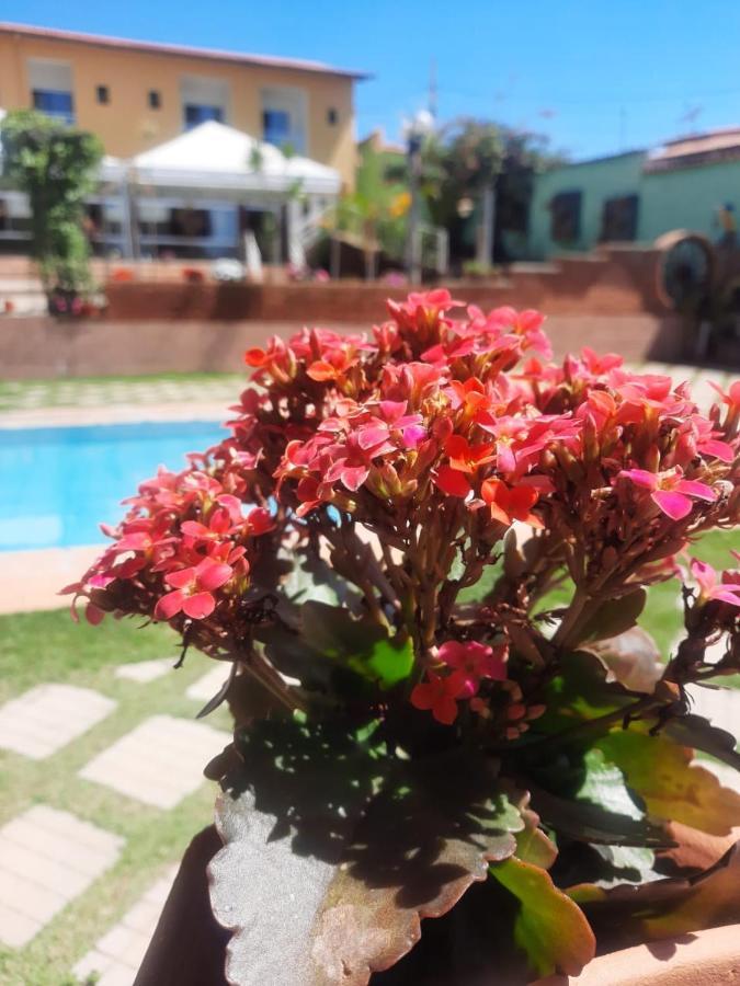 Do Guinda -mg *